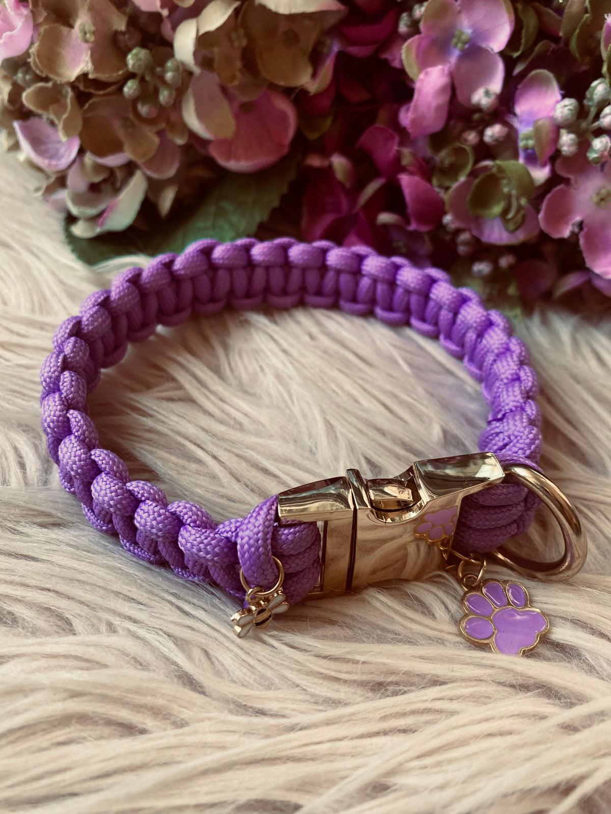 Lavender Paws Dog Collar