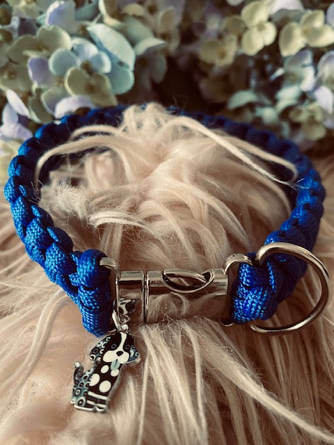 Sapphire Paws Collar